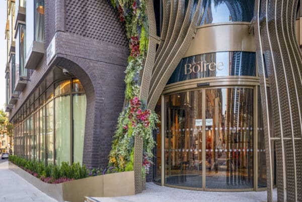 BoTree Hotel